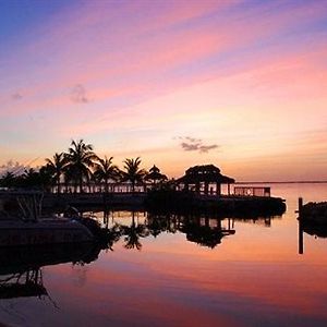 Amoray Dive Resort